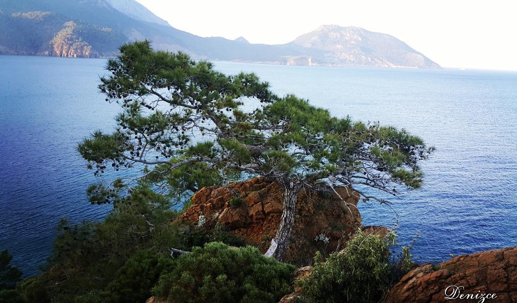Adrasan Deniz Hotel المظهر الخارجي الصورة