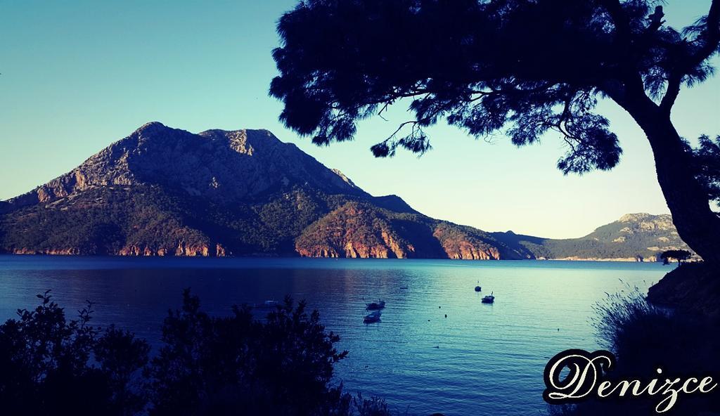 Adrasan Deniz Hotel المظهر الخارجي الصورة